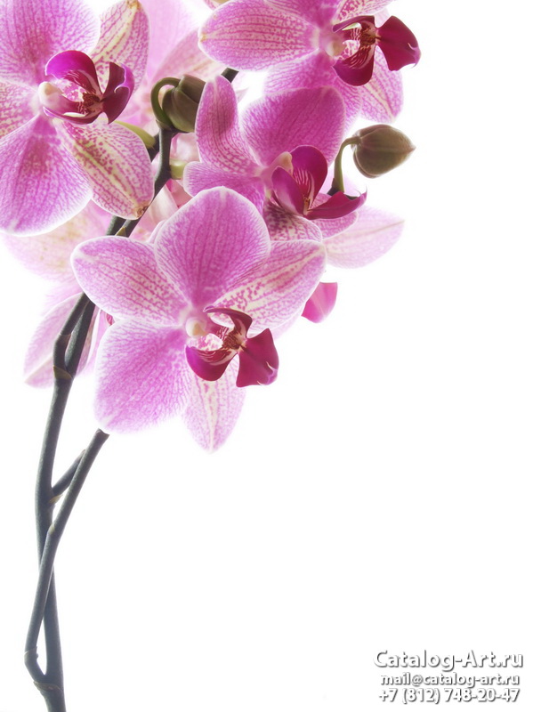 Натяжные потолки с фотопечатью - Розовые орхидеи 14